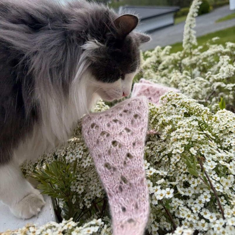 Lucy Scarf